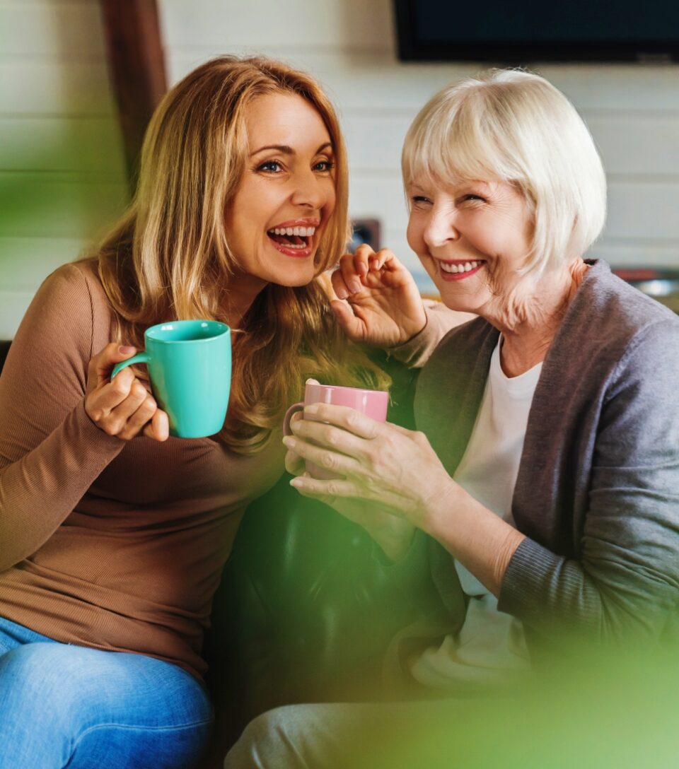 Treatment - Bridge Dental